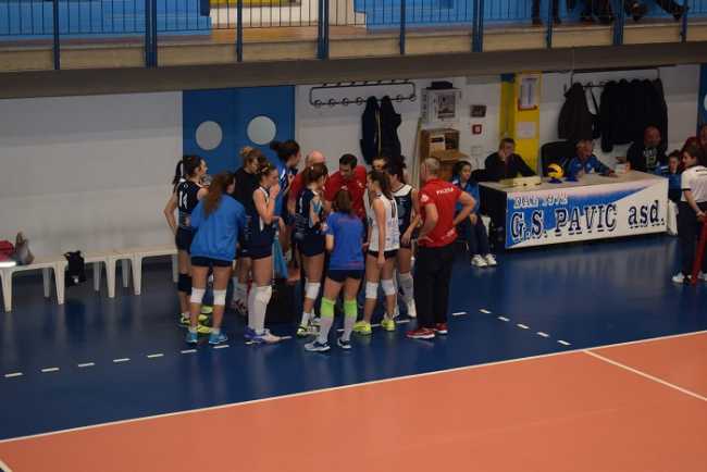 pavic albissola